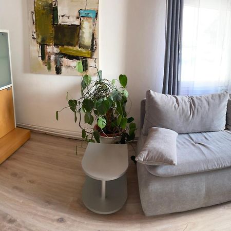 Schrammi'S Ferienwohnung Schwanau Zewnętrze zdjęcie
