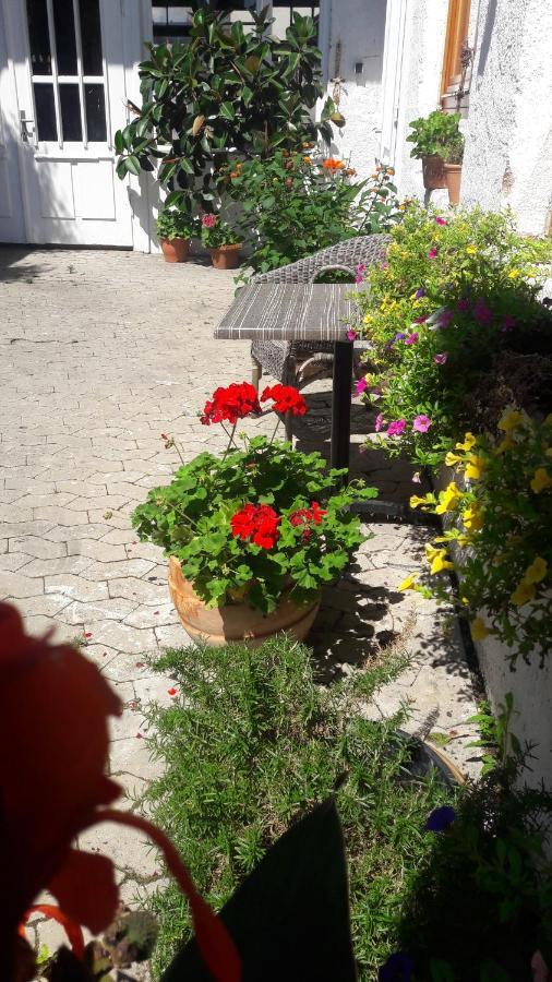 Schrammi'S Ferienwohnung Schwanau Zewnętrze zdjęcie