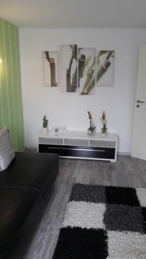 Schrammi'S Ferienwohnung Schwanau Zewnętrze zdjęcie